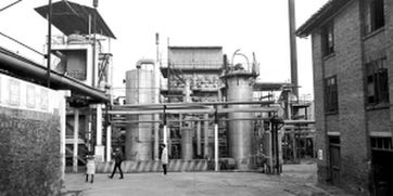 從化肥廠到文藝小鎮 三年內打造4A景區的互聯網服務新篇章